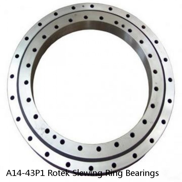 A14-43P1 Rotek Slewing Ring Bearings