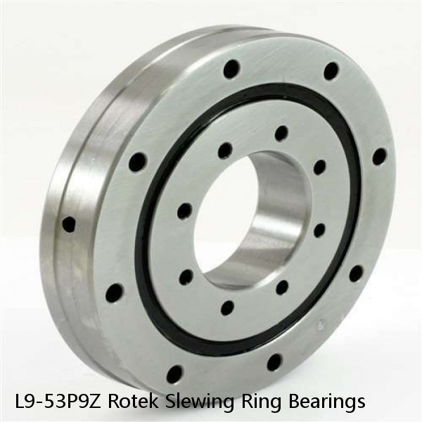 L9-53P9Z Rotek Slewing Ring Bearings