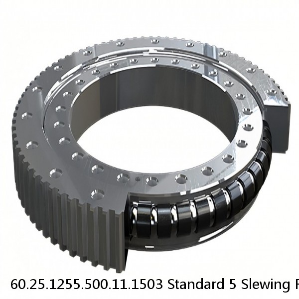 60.25.1255.500.11.1503 Standard 5 Slewing Ring Bearings