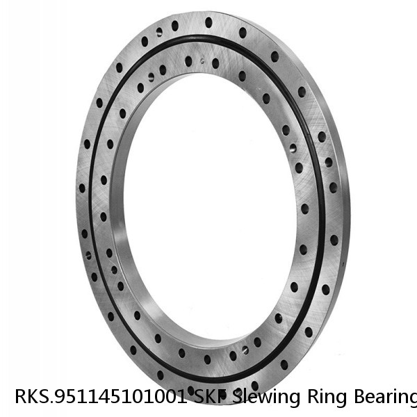 RKS.951145101001 SKF Slewing Ring Bearings