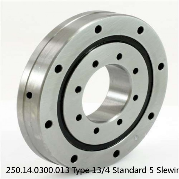 250.14.0300.013 Type 13/4 Standard 5 Slewing Ring Bearings