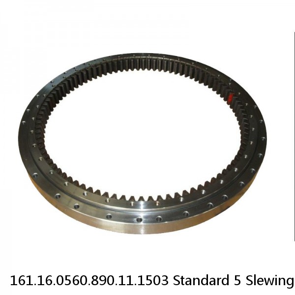 161.16.0560.890.11.1503 Standard 5 Slewing Ring Bearings #1 small image