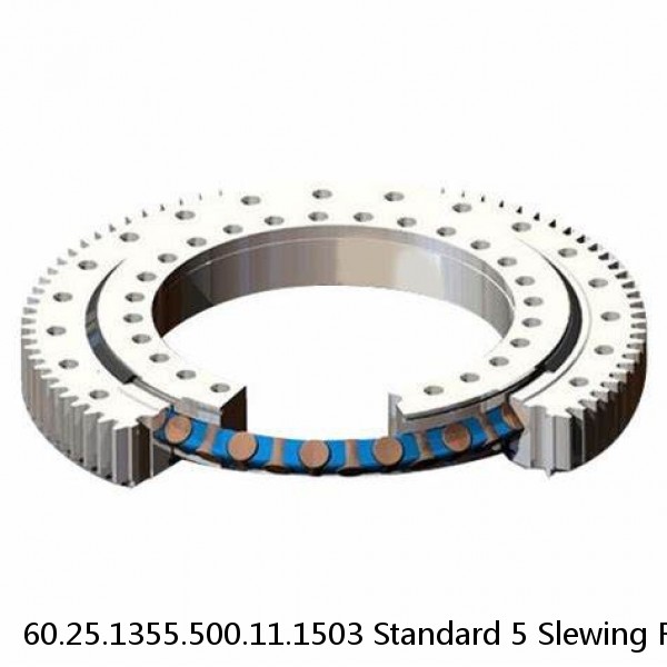 60.25.1355.500.11.1503 Standard 5 Slewing Ring Bearings #1 small image