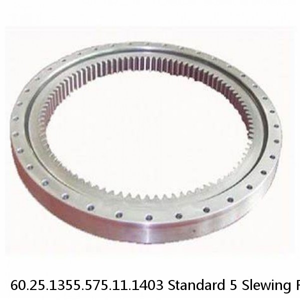 60.25.1355.575.11.1403 Standard 5 Slewing Ring Bearings #1 small image
