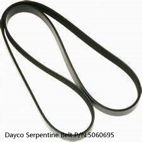 Dayco Serpentine Belt P/N:5060695 #1 small image