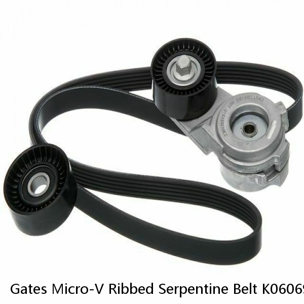 Gates Micro-V Ribbed Serpentine Belt K060695 6PK1763 #1 small image