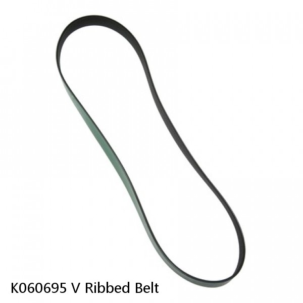 K060695 V Ribbed Belt #1 small image