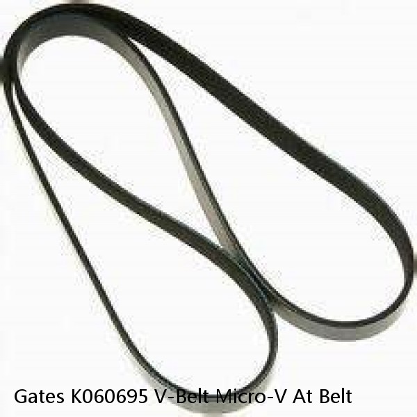 Gates K060695 V-Belt Micro-V At Belt #1 small image