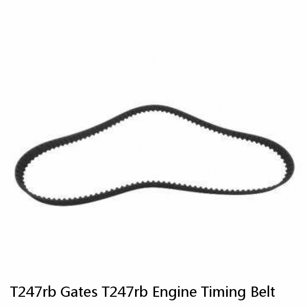 T247rb Gates T247rb Engine Timing Belt #1 small image