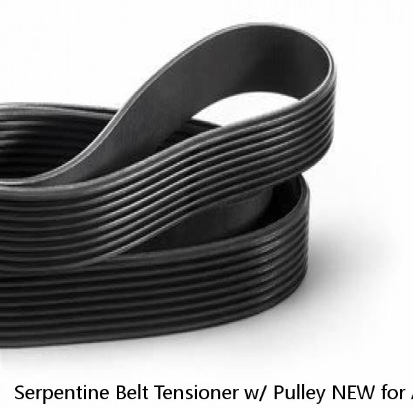 Serpentine Belt Tensioner w/ Pulley NEW for Audi A4 A6 S4 VW Passat V6