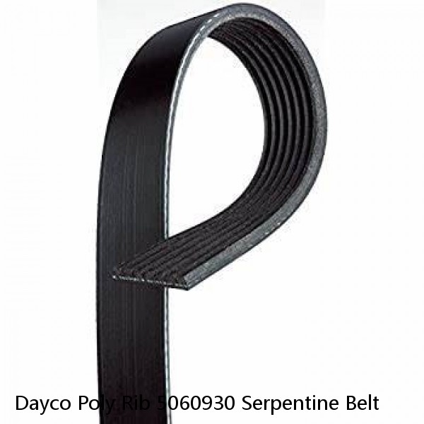Dayco Poly Rib 5060930 Serpentine Belt #1 small image