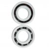 SL04 5014-PP-2NR Full Complement Cylindrical Roller Bearing