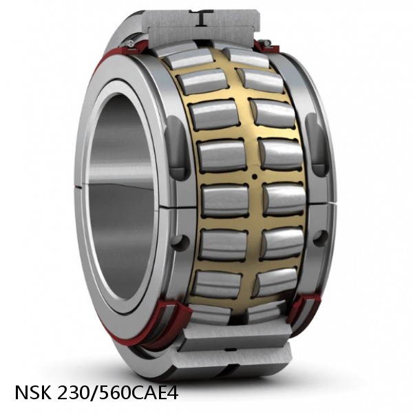 230/560CAE4 NSK Spherical Roller Bearing #1 image
