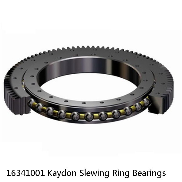 16341001 Kaydon Slewing Ring Bearings #1 image