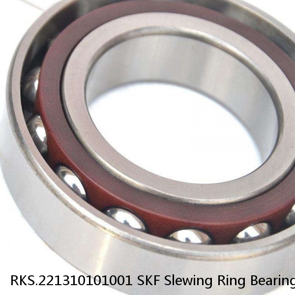 RKS.221310101001 SKF Slewing Ring Bearings #1 image