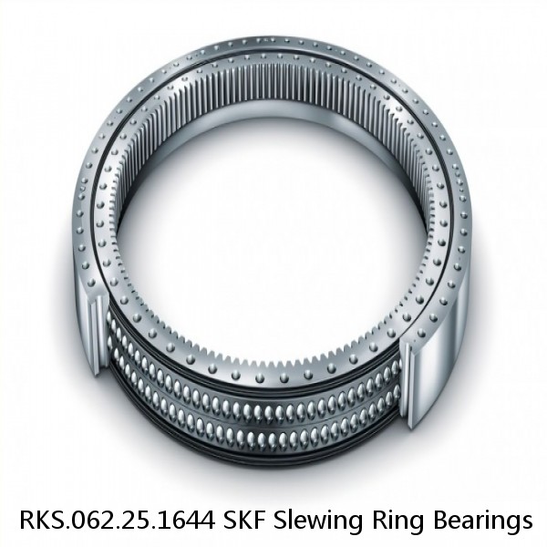RKS.062.25.1644 SKF Slewing Ring Bearings #1 image