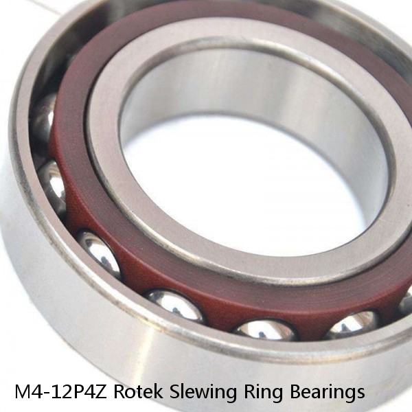 M4-12P4Z Rotek Slewing Ring Bearings #1 image