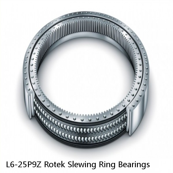 L6-25P9Z Rotek Slewing Ring Bearings #1 image