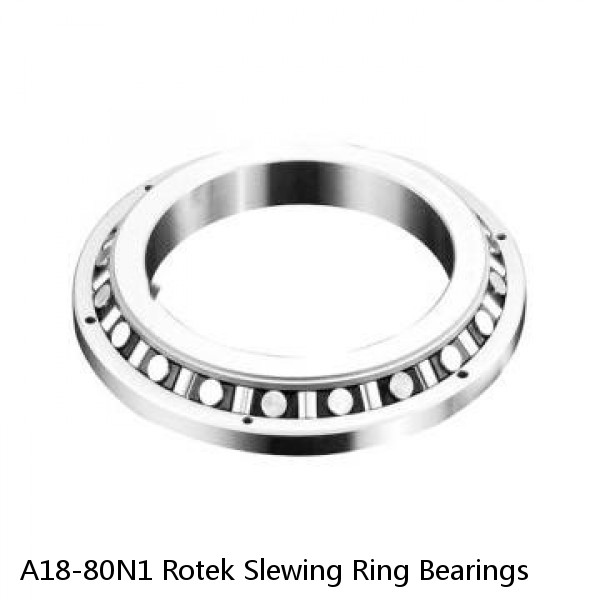 A18-80N1 Rotek Slewing Ring Bearings #1 image