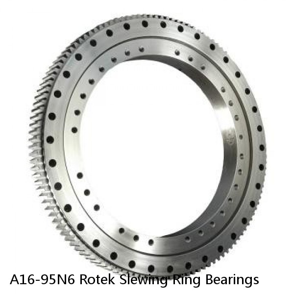 A16-95N6 Rotek Slewing Ring Bearings #1 image