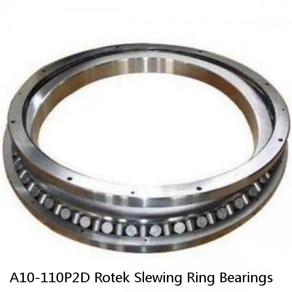 A10-110P2D Rotek Slewing Ring Bearings #1 image