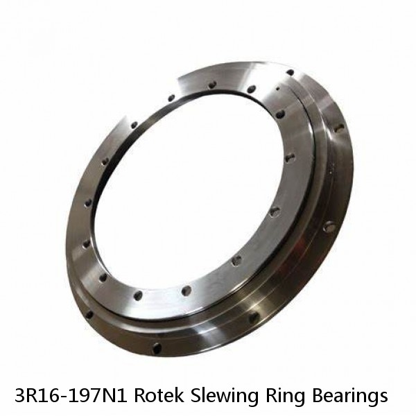 3R16-197N1 Rotek Slewing Ring Bearings #1 image