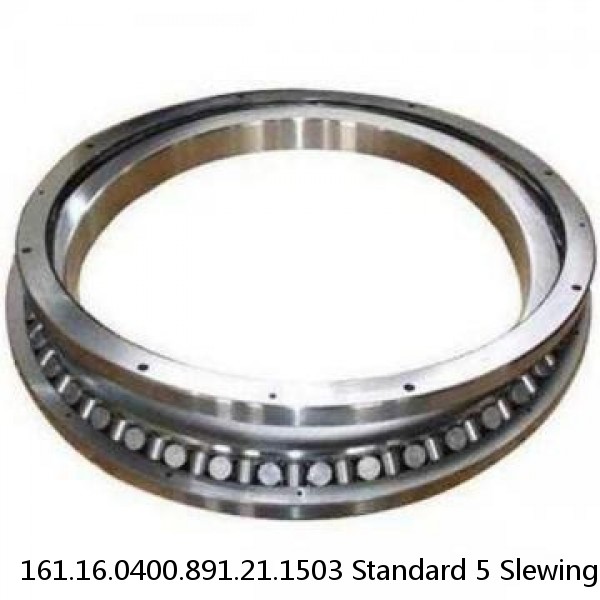 161.16.0400.891.21.1503 Standard 5 Slewing Ring Bearings #1 image