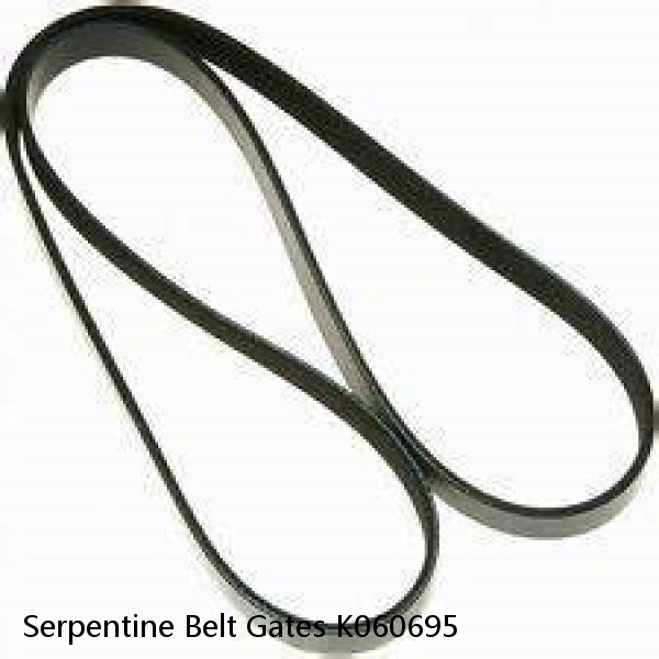 Serpentine Belt Gates K060695 #1 image