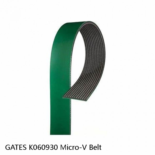 GATES K060930 Micro-V Belt #1 image