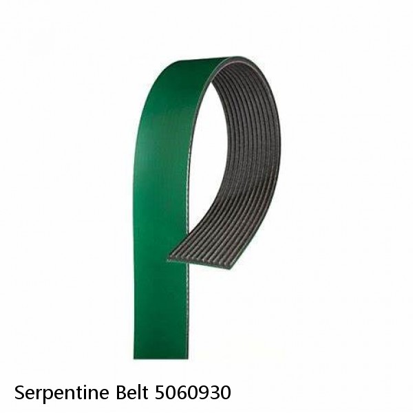 Serpentine Belt 5060930 #1 image